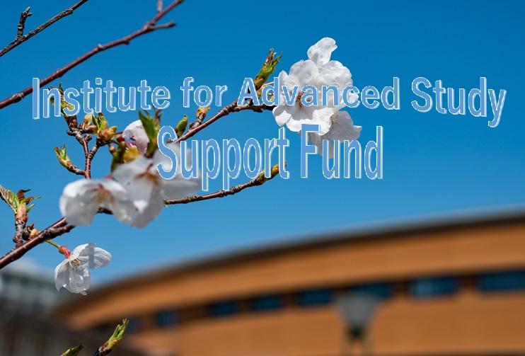 “Institute for Advanced Study” Support Fund